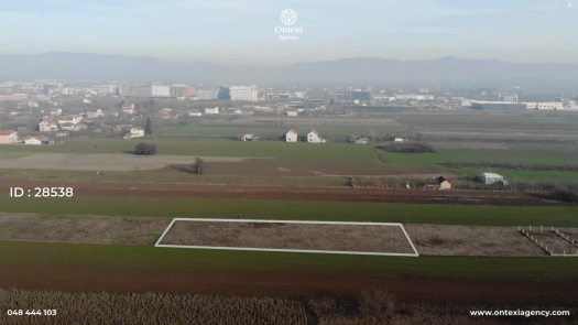 Shitet trualli 20 ari PREOC